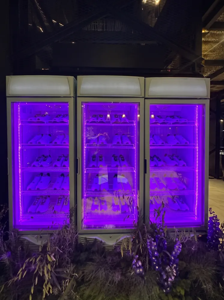AANRS display fridge rental Singapore, three glass-door chillers lit purple and filled with sneakers at an evening product launch