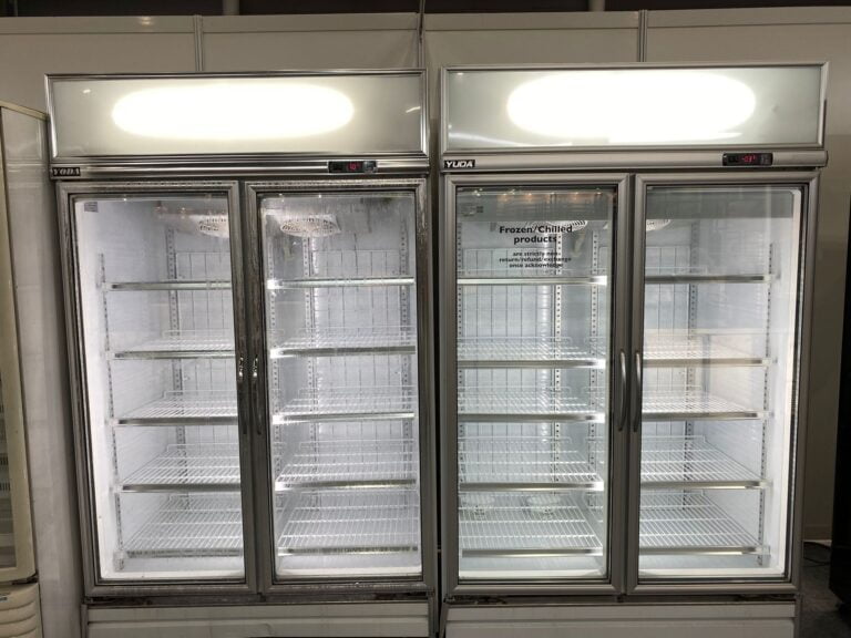 Premium 2-Door Freezer for Event Rental in Singapore